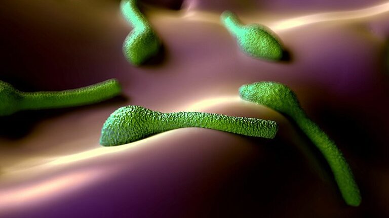 Коварная улыбка столбняка