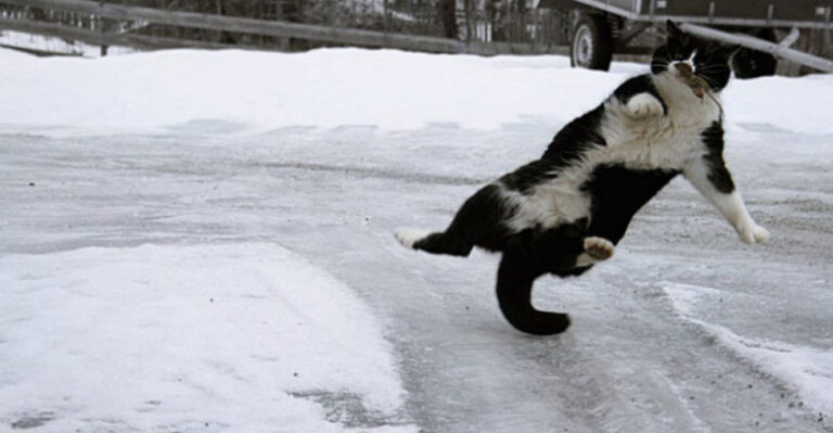 Осторожно гололед!